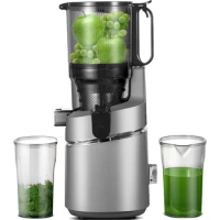 Juicer Machines, AMZCHEF 5.3-Inch Self-Feeding Masticating Juicer Fit Whole Fruits &amp; Vegetables