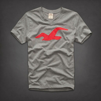 美國百分百【全新真品】Hollister Co. T恤 HCO 短袖 T-shirt 上衣 海鷗 灰 Logo V領 大尺 男 S M L XL號