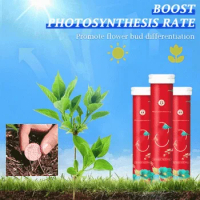 Home Gardening Universal Slow-Release Tablet Organic Fertilizer Plant Flowers Nitrogen Phosphorus Potassium Release Agent