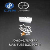 JOYLONG/PLACER X MAIN FUSE BOX SOKET(17PIN)