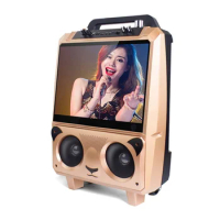 15 inch Panda shape Karaoke display screen Plaza dancing Video speaker with trolley wheel