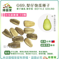 【綠藝家】G69.梨仔匏瓜種子10顆(梨子蒲瓜.梨仔瓜) 早生品種，果型呈現西洋梨的形狀，果皮淺綠色