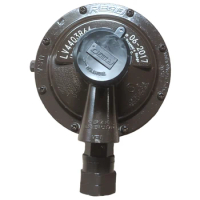 REGO LV4403B66 LPG Medium Pressure Regulator Gas Industrial Reducing Valve Cylinder Pipe Fittings