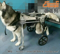 狗輪椅/傷殘寵物助行輪椅/大型犬后肢代步車康復輪椅車后肢四輪車