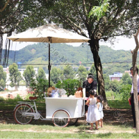 Customized Three-Wheeled Mobile Vending Cart Trolley Shopping Mall Outdoor Snack Stall Bike Display Tricycle For Sell Coffee