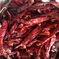 cabe kering / cabai merah kering tidak pedas untuk