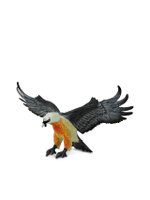 ฟิกเกอร์ Bearded Vulture หลากสี