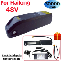 48V Hailong Electric Bicycle Ebike Battery Cells 30Ah 750W Bicycle Lithium Ebike Battery