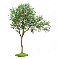 Solid Wood Imitative Tree Olive Tree Decoration Decorative Tree Indoor Fake Bonsai Green Plant
