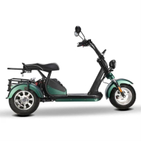 High Range Power 2000w 60v20ah Lithium Battery Electric Tricycle Scooter Fat Tie 3 Wheel Electric Mobility Scooter Tricycle