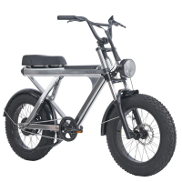 【SLIDER】賽博大火箭經典版 40KM續航1年保固(電動胖胎車 電動輔助自行車 閃電標章 36V 500W)