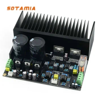 SOTAMIA 200W TDA7293 Power Amplifier Audio DIY Kits 100Wx2 Hifi Stereo Sound Amplifier with Heatsink NE5534 OP Amp Smart Home