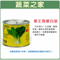 【蔬菜之家】A66.華王青梗白菜種子(共有2種包裝可選)
