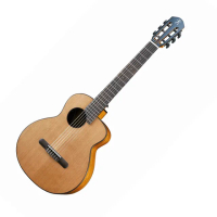 【aNueNue】aNueNue MN14 Feather Bird-36吋 古典旅行吉他(原廠公司貨 商品保固有保障)