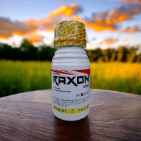 RAXON RACUN RUMPUT PADI - Herbisida Sistemik Raxon