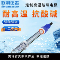 【保固兩年】進口ph電極探頭玻璃電極平面在線ph計復合電極頭pH值傳感器酸度計