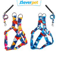 ปลอกคอ Everking สายรัดอกสุนัข สายจูงสุนัข พรีเมี่ยม Dog Harness CleverPet สุนัข