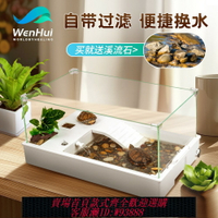 {台灣公司貨 可打統編}烏龜飼養缸家用自循環生態龜缸帶過濾曬臺爬臺造景黃緣龜卓面缸