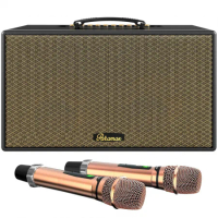 Paramax Loa Karaoke Di Động Xách Tay Aura (Black Leather)