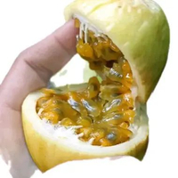 Buah Markisa Siuh Asam Manis Segar 500 Gram Siap Konsumsi
