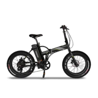 2023 New 20" Folding E-Bike with Fat Tires