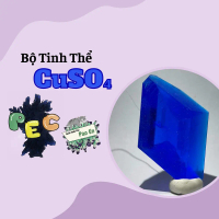 [CuSO4] Combo sinh thành tinh thể màu xanh dương