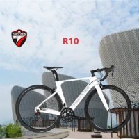 TWITTER-Carbon Bicycle Road Bike, Chameleon UT, R8000-22S, Double V Brake700C, Gravel Gravel, R10