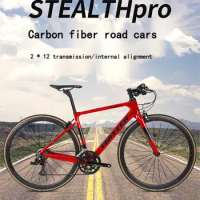 Witter STEALTHpro swoops in on a carbon fiber road car with flat 24-speed 700C lap brake bike racer