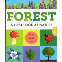 【จัดส่งจากประเทศไทย】 BBW หนังสือ Hidden World - 3 Books In Slipcase: Forest ISBN: 9781848579699