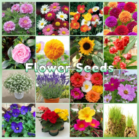 Assorted Flower Seeds for Planting - Benih Bunga Potted Flower Plant Seeds Home Garden Flowers Seeds