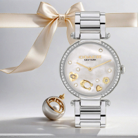COACH 母親節廣告款 CARY系列流轉水晶女錶-34mm CO14504264