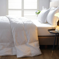 【WEDGWOOD】80/20雅品白鴨絨 抗菌羽絨舒眠被(加大 240x210cm)