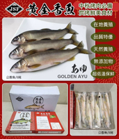 【天天來海鮮】14尾黃金公香魚/1000克/1盒