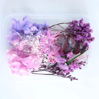 DIY Vivid Dried Flower Office Home Decor Fan Craft Materials Long Lasting For Scrapbooking Styles Eternal Flower Material Pack