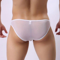 Men's Sexy Underwear Transparent Mesh Briefs Sexy Perspective Man Underpants Young Men Panties Comfort See Through Gay Bikini
