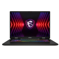 【MSI 微星】特仕版 17吋電競筆電(Sword 17 HX/B14VEKG-283TW/i7-14700HX/RTX4050/32G/1TB+1TB SSD/W11P)