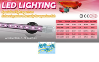 [ 台中水族 ]台灣HH-LR120-惠弘 LED水中燈-龍魚增豔燈具 120cm / 4尺/14.3W 特價