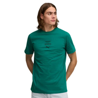X Aston Martin Aramco F1  Team Essentials Logo เสื้อยืดผู้ชาย สีเขียว