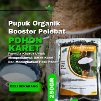 Pupuk Untuk memperbanyak Getah Karet Pupuk Karet Mati Getah terbaik Pupuk perangsang Getah Karet