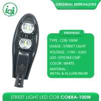 LAMPU JALAN PJU KOBRA 100 WATT LISTRIK STREET LIGHT LED COB COBRA 100W