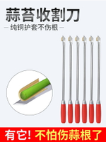 抽蒜薹神器蒜苔收割刀蒜苔器的工具刮劃剝拔打蒜苔神器蒜薹收割刀
