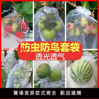 【台灣公司 超低價】水果套袋防鳥防蟲專用尼龍網袋葡萄無花果枇杷芒果袋草莓保護袋子