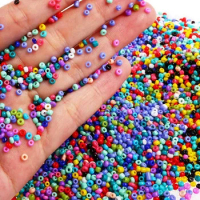 2Mm Glass Seed Beads 24 Colors Total About 20000Pcs,Small Seed Beads Kit With Needles,String Beads For Jewelry Making