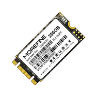 保固三年 MOREFINE 1TB M.2 2242 NVMe PCIe Gen3x2 SSD 固態硬碟【愛瘋潮】