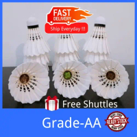On Sale Hot Sale[ShuttleNice] Secondhand/Used Badminton Shuttlecock (Brand: RSL |   TECH |   RCL |  