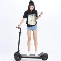 Self Balancing 3 Wheel Scooter Electric Overboard Skateboard Good Price