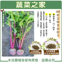 【蔬菜之家】C19.福康甜菜根種子3克(約220顆)、55克(約4000顆)(共有2種包裝可選)