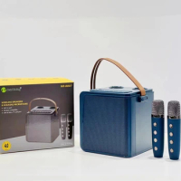 HIFI Music Home Karaoke Amplifier Speakers Portable Handheld Noise Reduction Wireless Smart Dual Microphone Bluetooth Speaker TF