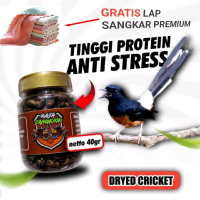 Jangkrik kering-Dry Cricket Pakan Hewan  Burung, Ikan, Reptil, Gecko