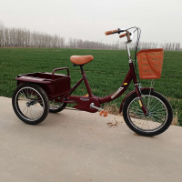 Fengjiu Small Tri-Wheel Bike Middle-Aged and Elderly Pedal Human Tricycle Pedal Small Bucket Big Bucket Tricycle